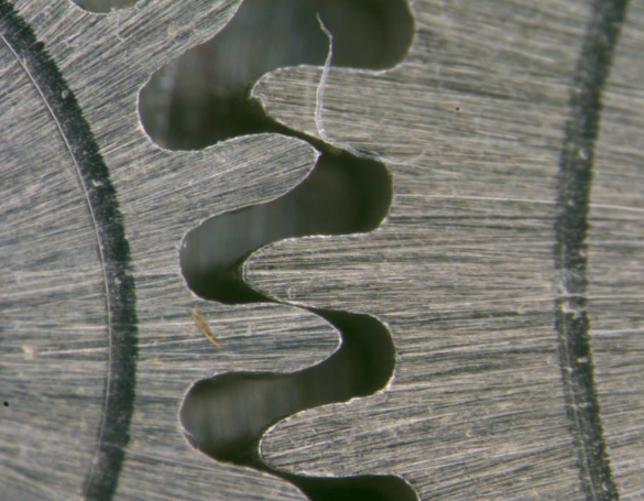 Цифровой микроскоп Leica DMS 300 / DMS 1000